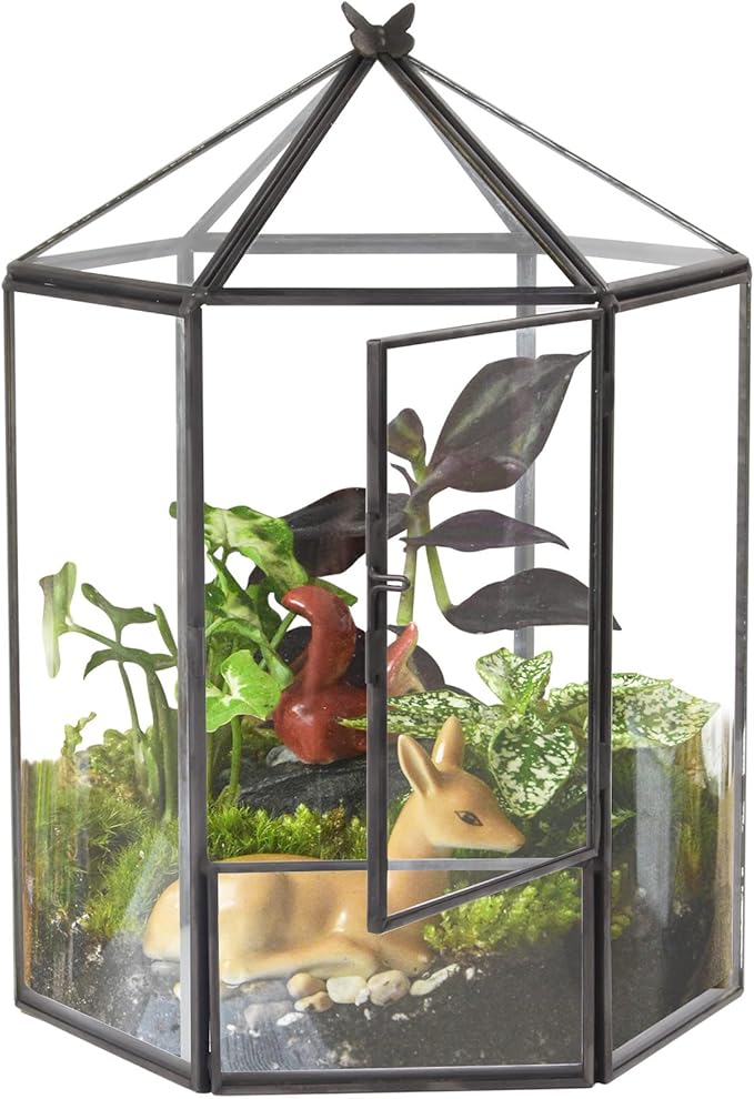ELEGANTLIFE Glass Geometric Plant Terrarium, Succulent & Air Planter by ELEGANTLIFE