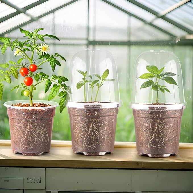 6 Inch Clear Nursery Pots with Humidity Dome, 15 Pack Durable Seed Starting Pot - Image 7