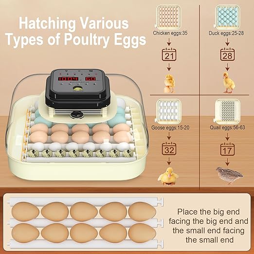 35 Eggs Incubators for Hatching Eggs, Egg Incubator - Image 4