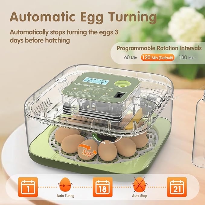 12 Egg Incubator with Automatic Turning, Temperature and Humidity Control - Image 6