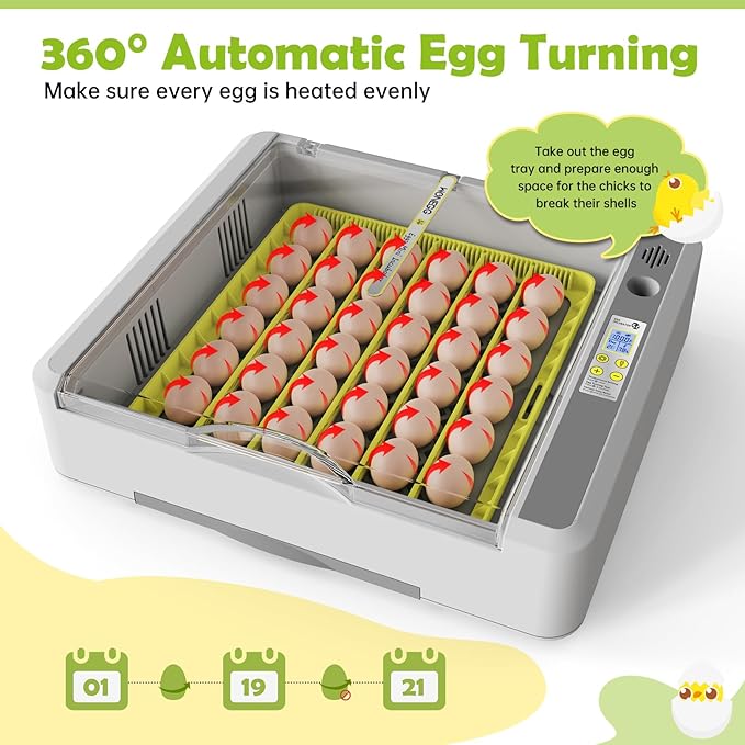 Egg Incubator for Hatching Chicks, 36 Eggs Automatic Turner - Image 4
