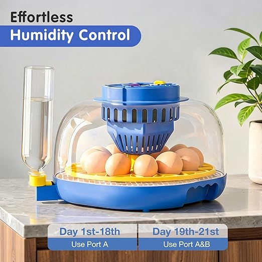 Chicken Egg Incubators for Hatching Eggs, 12 Egg Incubator - Image 3