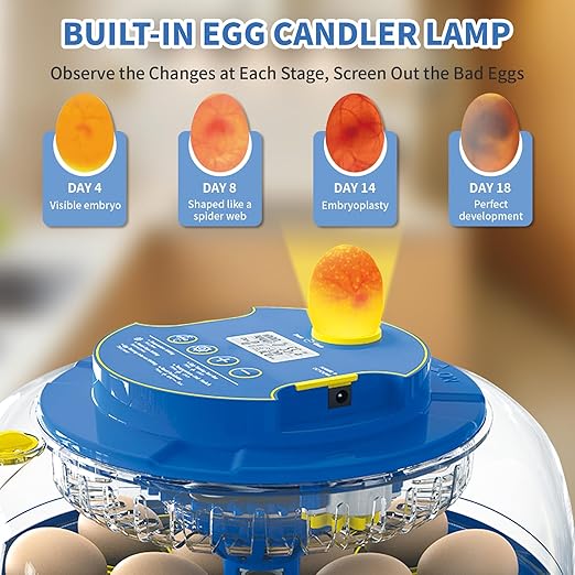 18 Egg Incubator with Automatic Egg Turning & Humidity Control - Image 2