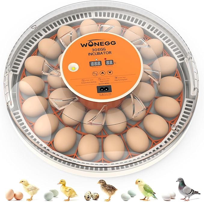 30 Egg Incubators for Hatching Eggs by WONEGG