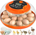 18 Egg Incubator with Automatic Egg Turning and Humidity Control, Eggs by Onsju