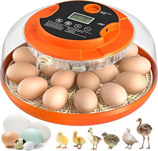 18 Egg Incubator with Automatic Egg Turning and Humidity Control, Eggs by Onsju