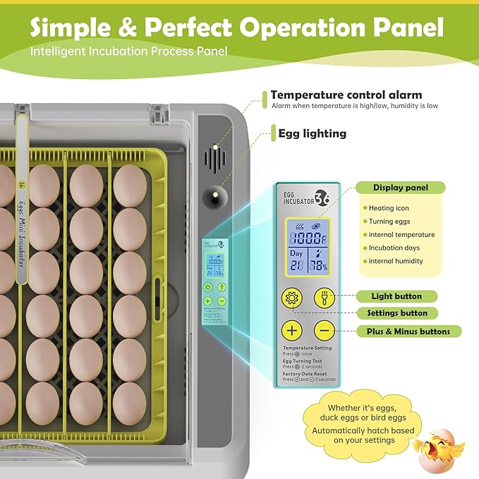 Egg Incubator for Hatching Chicks, 36 Eggs Automatic Turner - Image 3