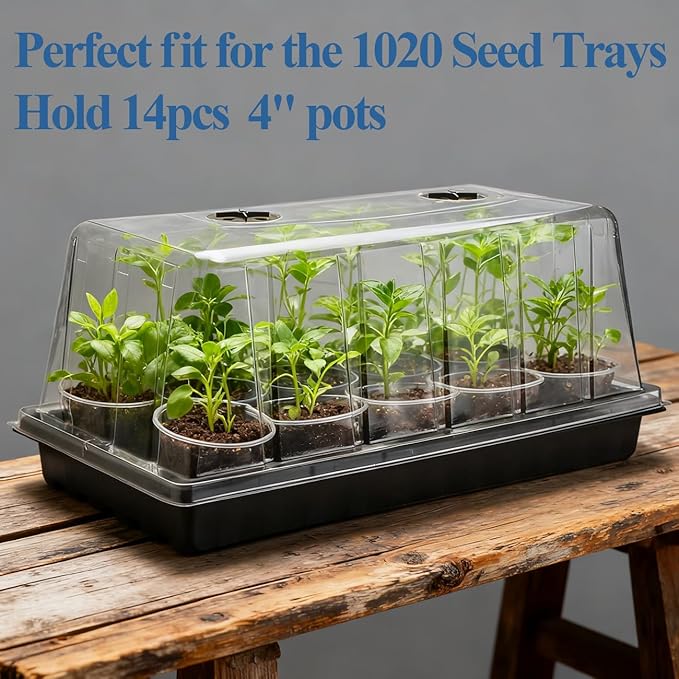 1020 Plant Tray with Tall 7.3'' Dome, Heavy Duty 1020 Trays and Flats with Lid - Image 4