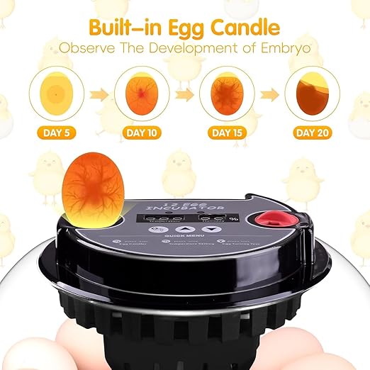 Egg incubators for Hatching Eggs, Automatic Egg Turning 12-24 Poultry Incubator - Image 4