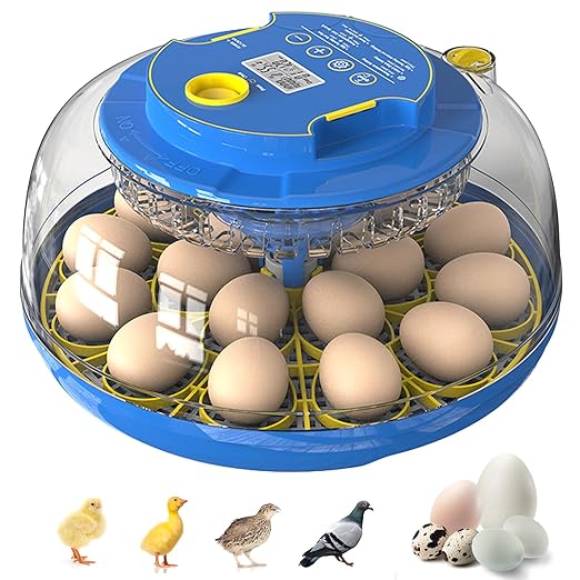 18 Egg Incubator for Hatching Chicken, Quail Eggs – 360° Visible Lid, Automatic by Unknown
