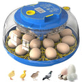 18 Egg Incubator for Hatching Chicken, Quail Eggs – 360° Visible Lid, Automatic by Unknown