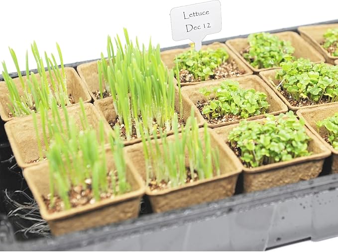 Seed Starter Kit with 100 Peat Pots - Image 6