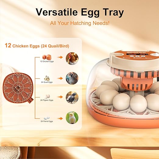 12 Egg Incubator, Automatic Turning - Image 6