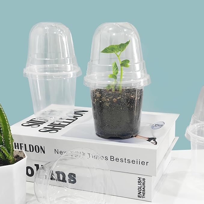 Transparent Nursery Pots 3.5Inch - Image 7
