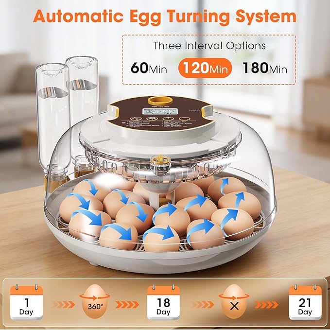 18 Egg Incubator with Automatic Egg Turning & Humidity Control, Built-in Egg - Image 4