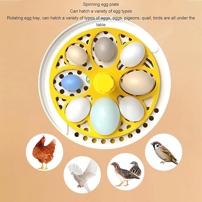 7W Egg Incubator, 4 Egg Poultry Incubator - Image 2