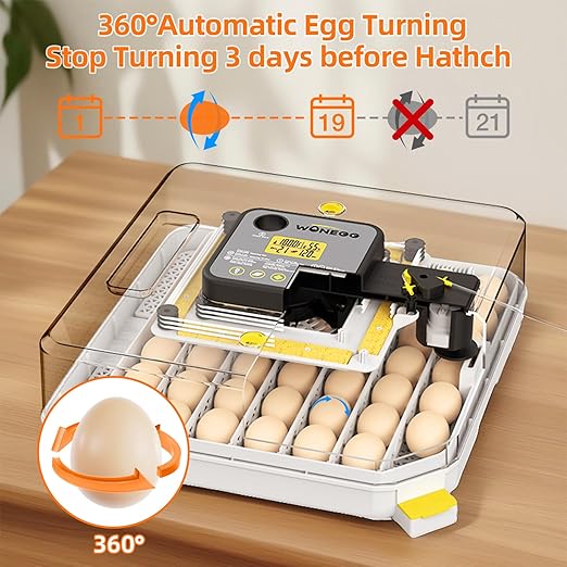 Incubators for Hatching Eggs, 48 Egg Incubator - Image 2