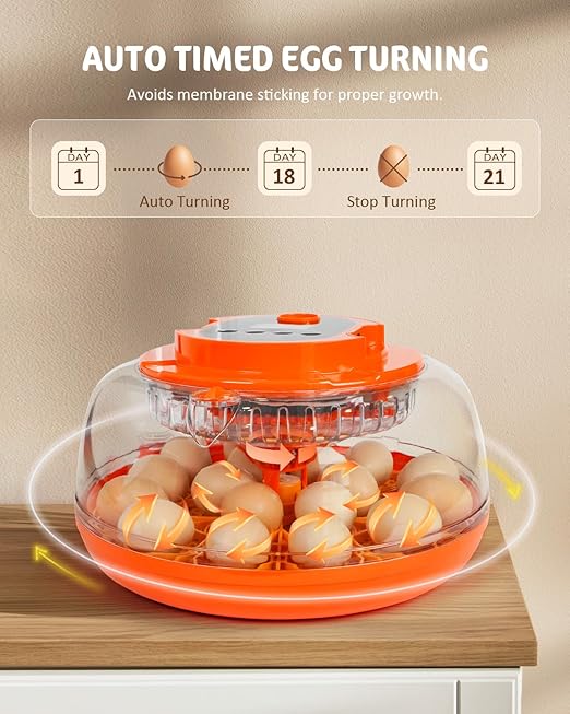 18 Egg Incubator with Automatic Turning & Humidity Control, Fully Automatic - Image 6