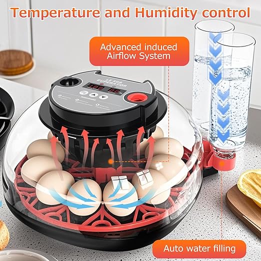 12 Egg Incubators for Hatching Eggs Automatic Egg Incubator - Image 2