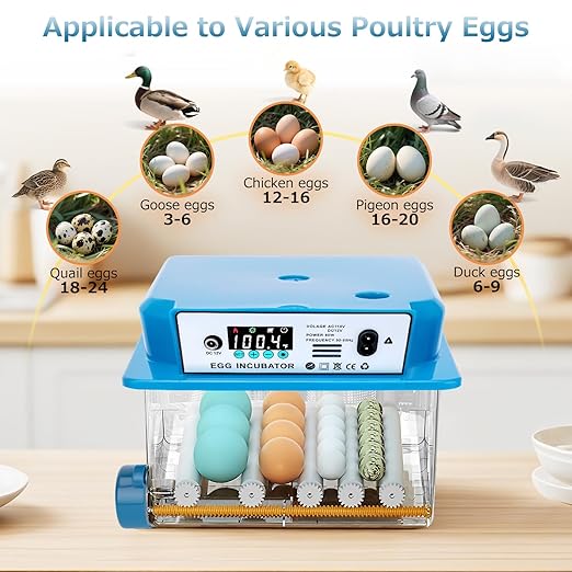 Automatic Egg Incubator 16 Egg Incubators - Image 2