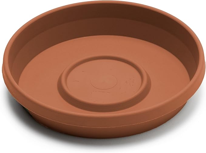Bloem Terra Resin Saucer Tray: 4.75" Bottom Width - Image 4