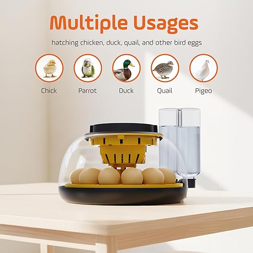 Incubators for Hatching Eggs - Image 4