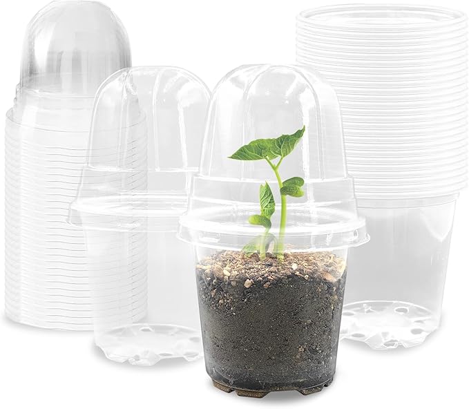 Transparent Nursery Pots 3.5Inch by RooTrimmer