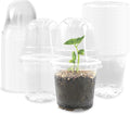 Transparent Nursery Pots 3.5Inch by RooTrimmer