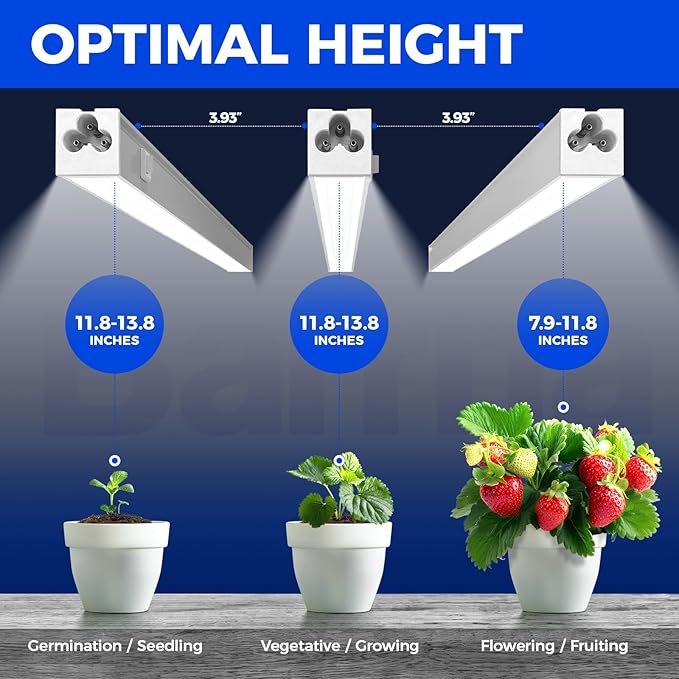 Barrina T5 Grow Lights for Indoor Plants, 5000K Full Spectrum, 1FT LED Growing - Image 3
