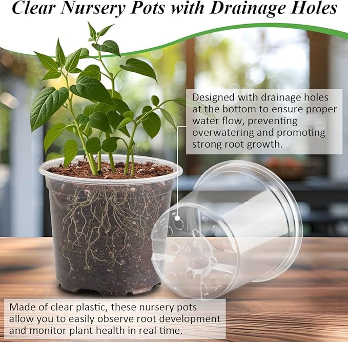 Transparent Nursery Pots 4Inch - Image 3