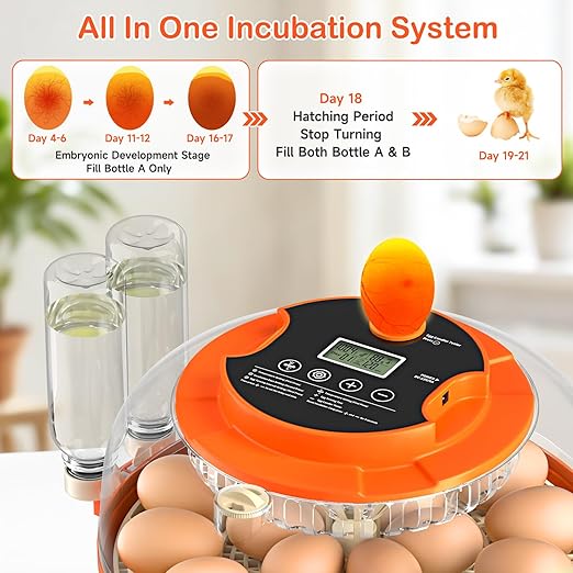 18 Egg Incubator for Chicken Eggs, Automatic Egg Turning and Humidity Control - Image 7