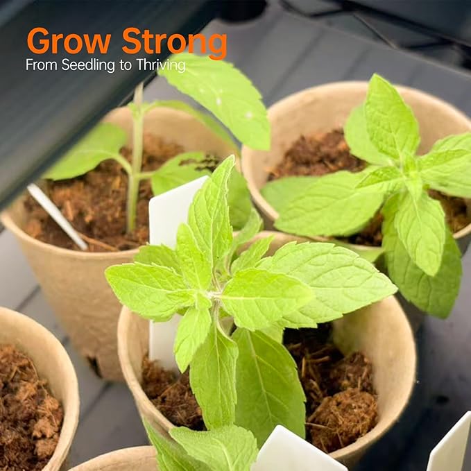 Bstrip Indoor Greenhouse with Grow Light, Plant Shelf with 4 Pack T8 Full - Image 7