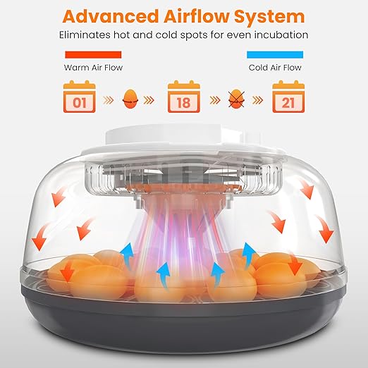 18 Egg Automatic Egg Incubator for Hatching Eggs, Chicken Egg Incubator - Image 4