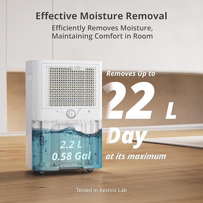 Kesnos 4, 500 Sq. Ft. Energy Star Dehumidifier - Image 5