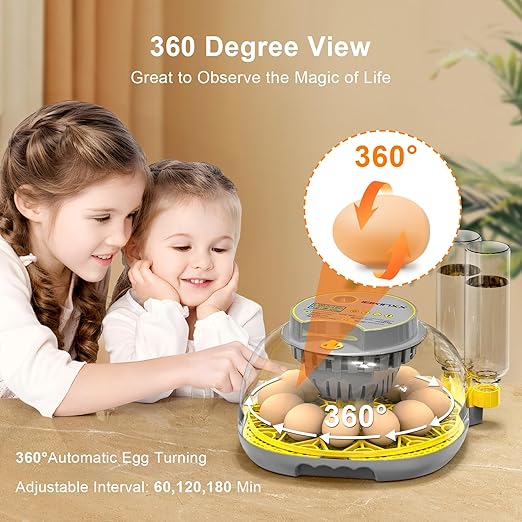 Incubator for Hatching Eggs-12 Egg Capacity, Automatic Egg Turner, Temperature - Image 4