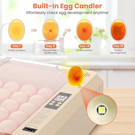 36-60 Egg Incubator with Automatic Egg Turning and Humidity Control, Adjustable - Image 5