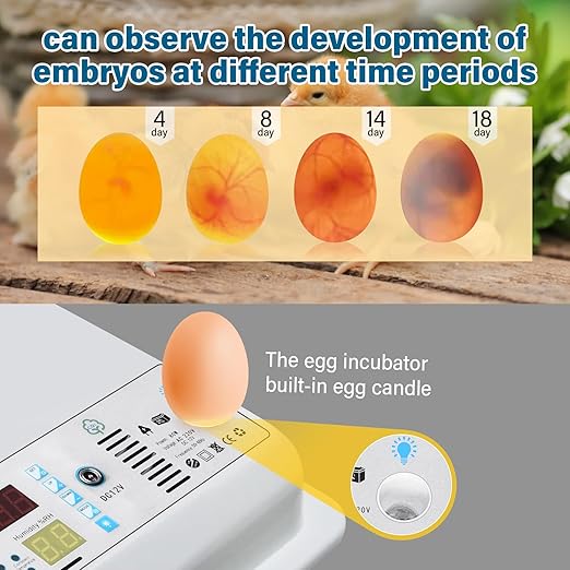 Incubators for Hatching Eggs, 120 Egg Incubator - Image 5