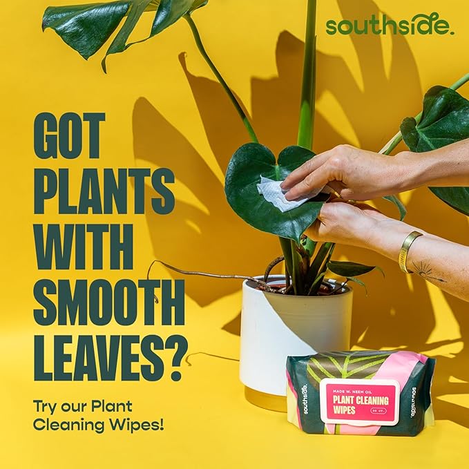 Southside Plant Cactus & Succulent Plants Cleaning Brushes - Image 5