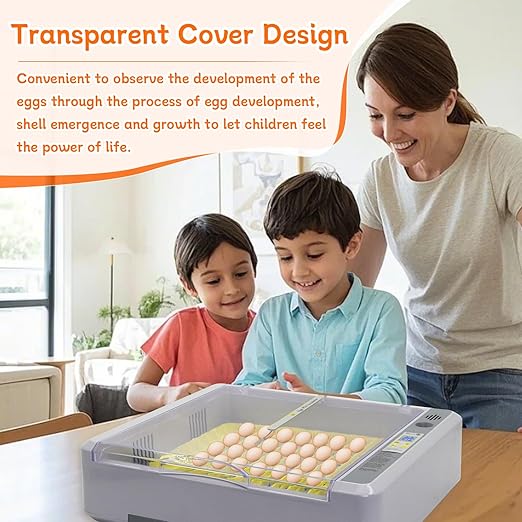Automatic Egg Incubator, Automatic Egg Turner - Image 5