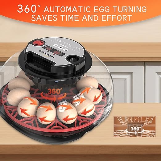 12 Egg Incubator for Hatching Eggs, Automatic Turner - Image 6