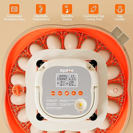 25 Egg Incubator, Extra-Large Interior - Image 7