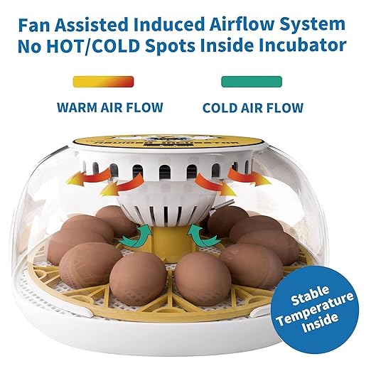 Egg Incubator for Hatching Chicks, 12-24 Egg Incubators - Image 3