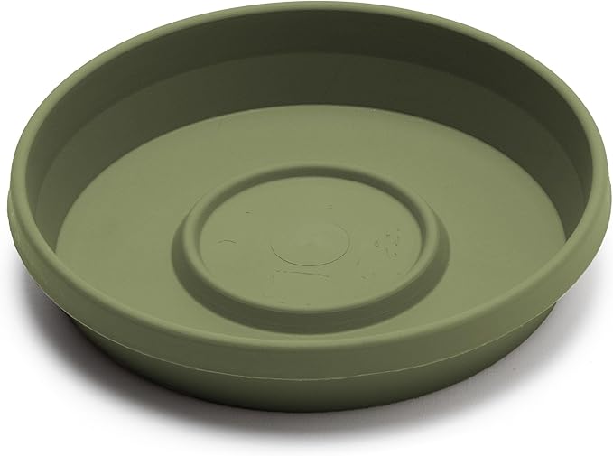 Bloem Terra Resin Saucer Tray: 8" Bottom Width - Image 4