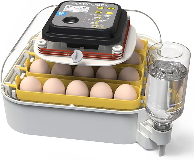 MATICOOPX 20 Egg Incubator by MATICOOPX