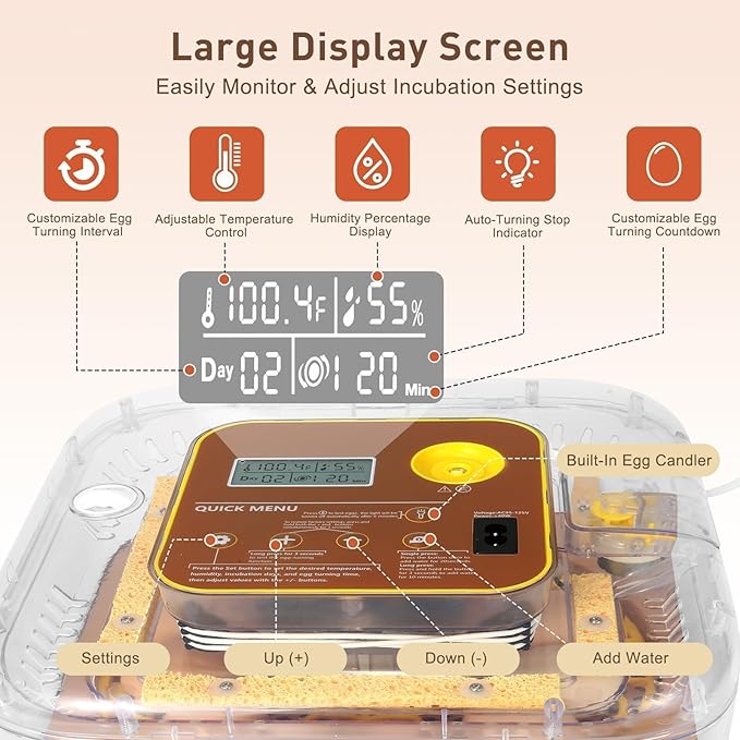 2026 New Auto 12-Egg Incubator for Beginners, Automated Incubation, - Image 2