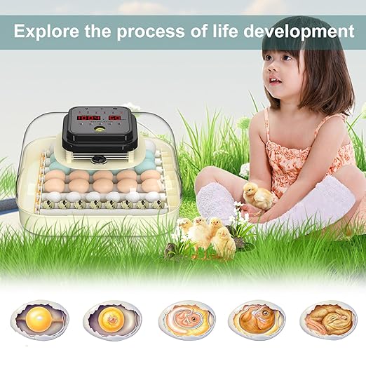 35 Egg Incubator with Automatic Egg Turning and Humidity Control, Incubator - Image 9