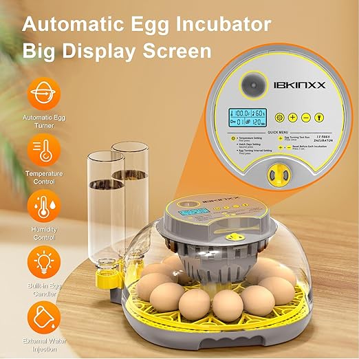 Incubator for Hatching Eggs-12 Egg Capacity, Automatic Egg Turner, Temperature - Image 2