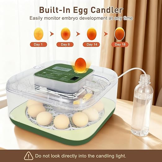 4th Gen – 12 Egg Fully Automatic Incubator, 2026 Upgraded Design, Intelligent - Image 2