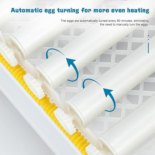 64 Egg Incubators for Hatching Eggs, - Image 4