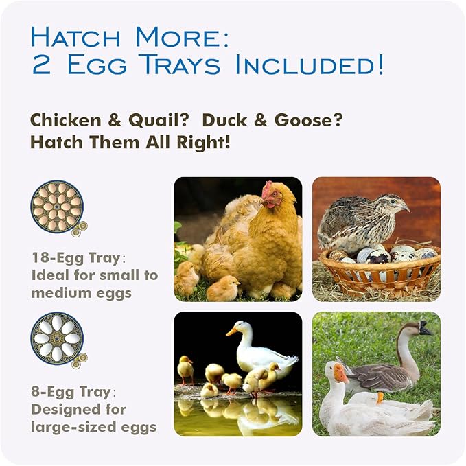 OtterVerz 11 Egg Incubators for Hatching 18-36 Chicken/Quail/Turkey Eggs - Image 5